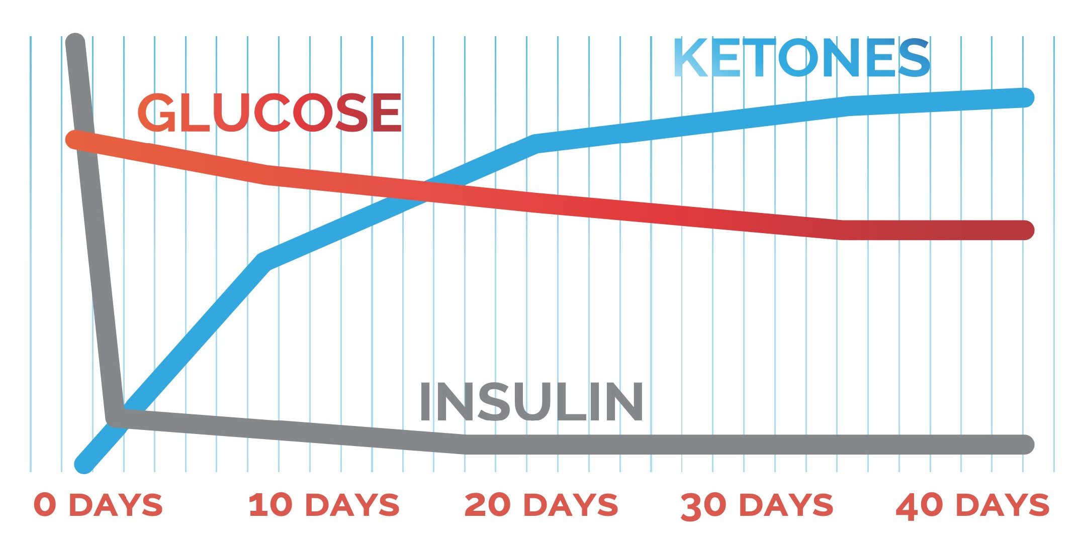 Original Blueprint graphic showing changes in glucose, insulin and ketones during low-carbohydrate adaptation