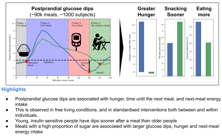 Post-meal glucose dips, hunger and food intake: study overview.