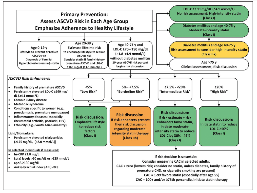 AHA/ACC primary-prevention guideline infographic