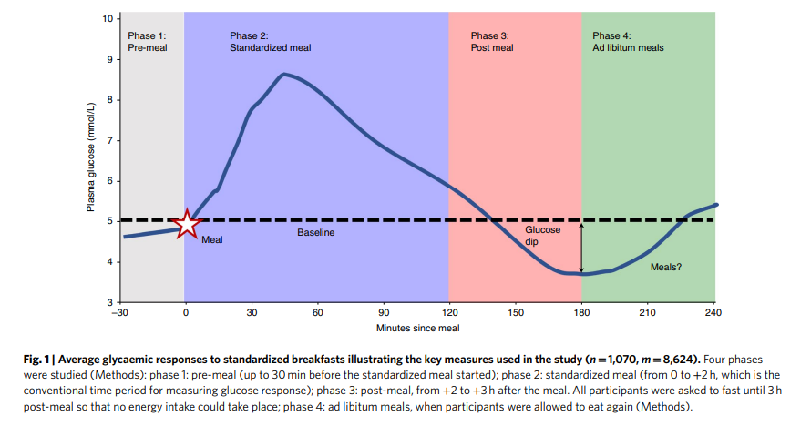 Glucose responses and study phases after a standardized breakfast.