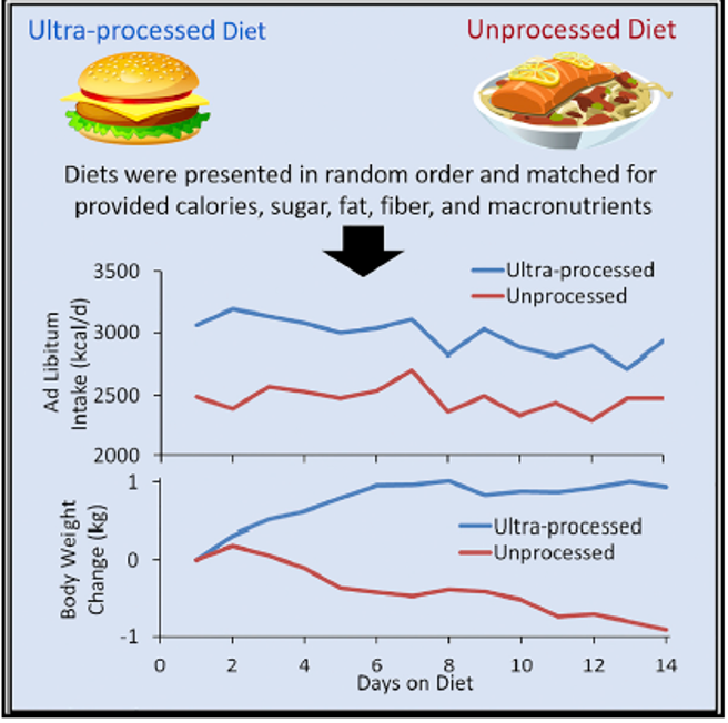 Ultra-processed food and energy-intake figure