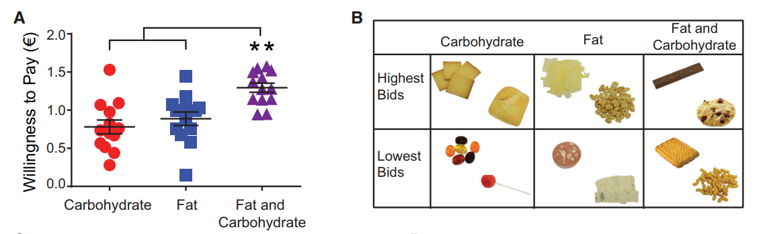 Study figure showing willingness to pay and brain responses to foods combining fat and carbohydrate.