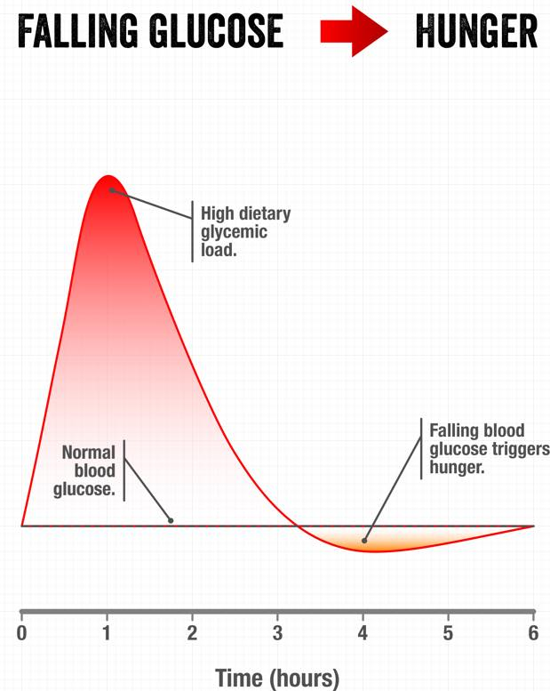 Falling glucose and hunger: an illustrative curve.