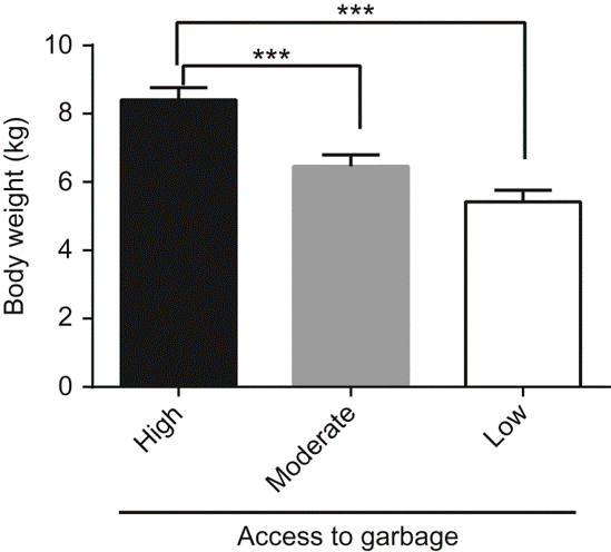 Original Disciple figure showing raccoon body weight by access to human food waste, retained after the study findings